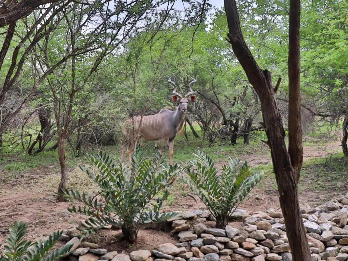 Chelesa By Kruger Nights Lägenhet Marloth Park Exteriör bild